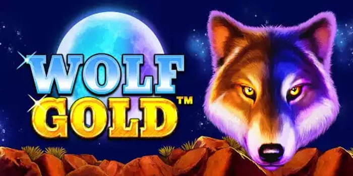 Trik Main Slot Wolf Gold Modal Kecil Auto Maxwin